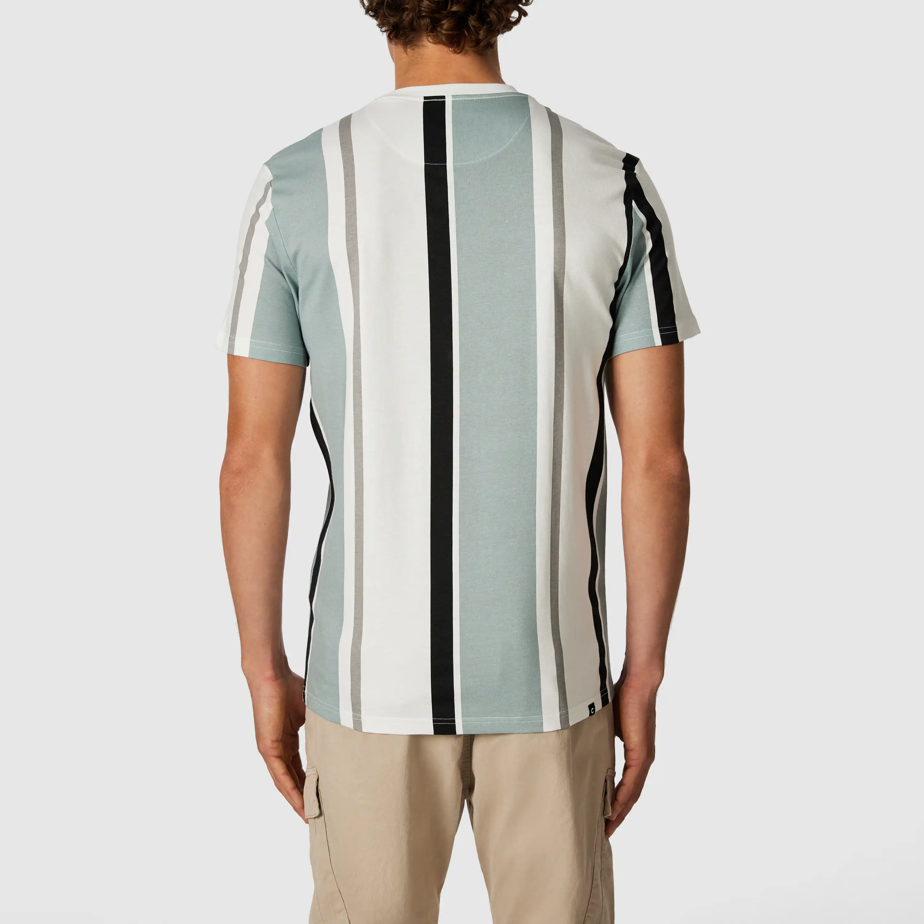Sage Green Justin Stripe Crew Neck Tee - Sage Green