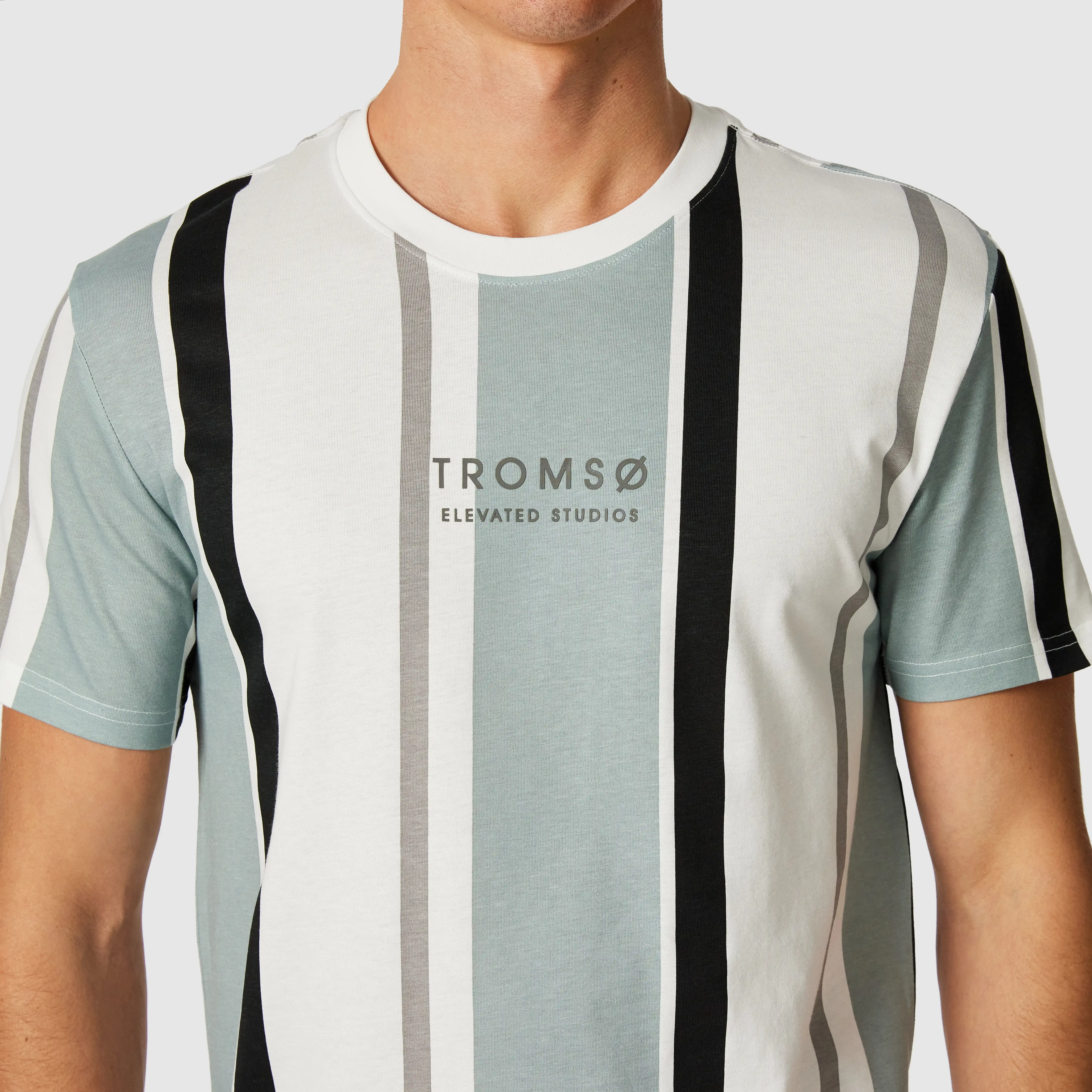 1408-sage-green-justin-stripe-crew-neck-tee-sage-green-1.webp