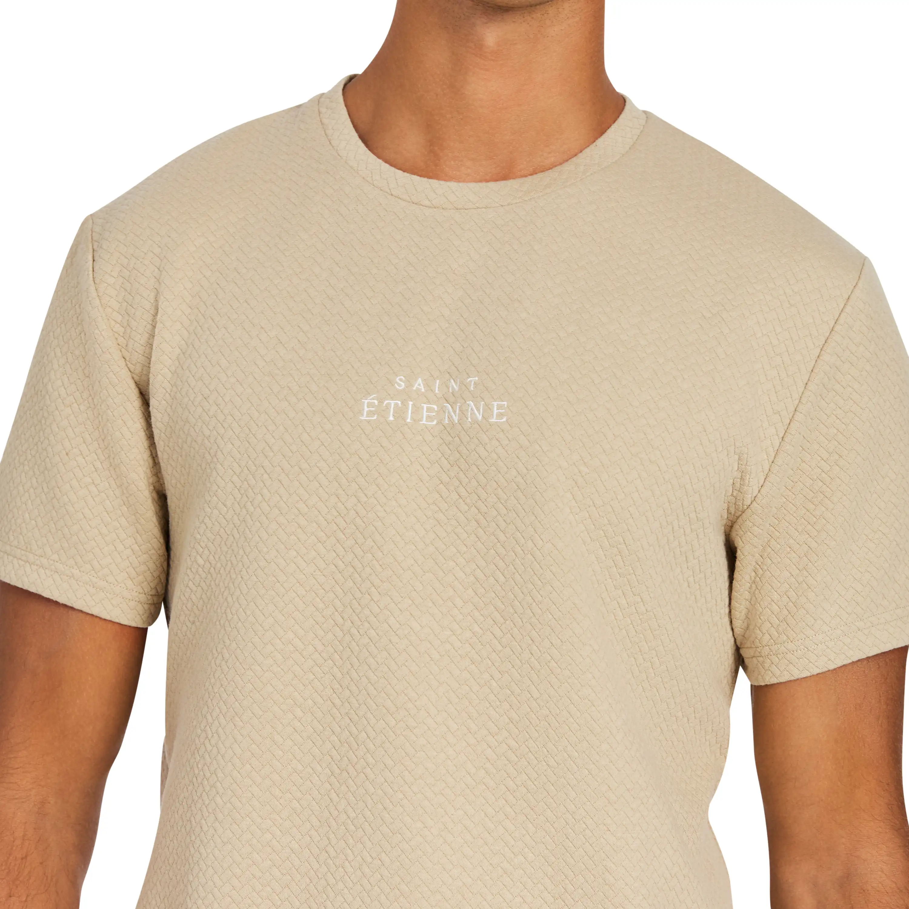 3648-beige-dolan-crew-tee-beige-1.webp
